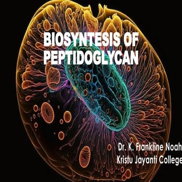 OVERVIEW - BIOSYNTESIS OF PEPTIDOGLYCAN.pptx