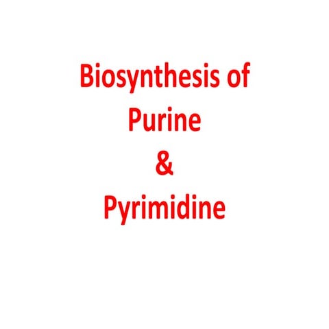 Biosynthesis of purine & pyrimidine 