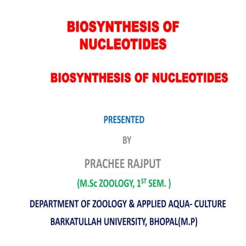 Biosynthesis of nucleotides