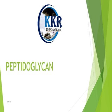Biosynthesis of peptidoglycan