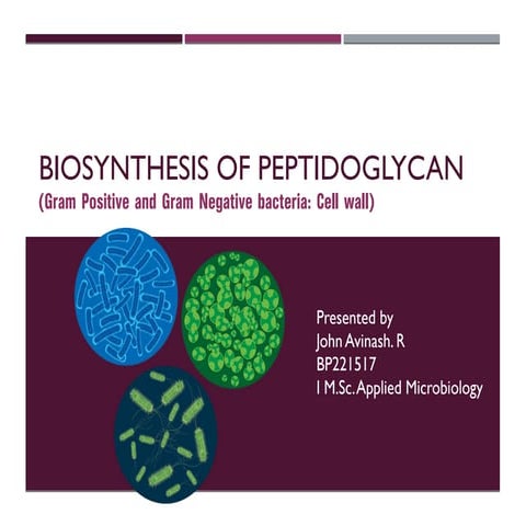 Biosynthesis of Peptidoglycan.pdf