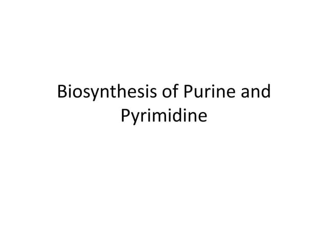 Biosynthesis of purine and pyrimidine