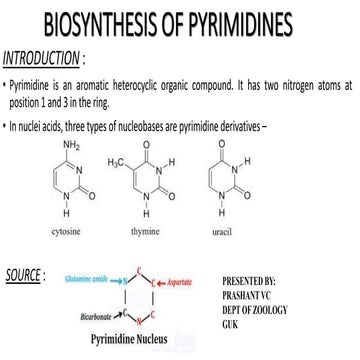 BIOSYNTHESIS OF PYRIMIDINES.pptx