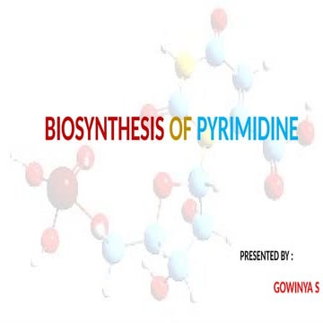 Biosynthesis of Pyrimidine with steps.ppt