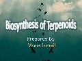 Terpenoids Biosynthesis  