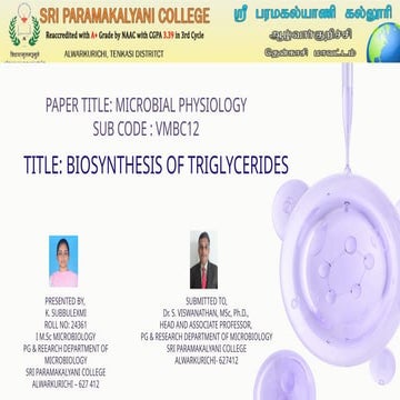 Biosynthesis of Triglycerides in three different mechanisms