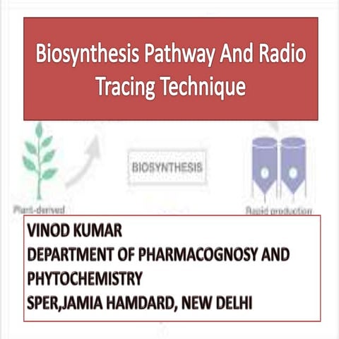 Biosynthesis Pathway And Radio Tracing Technique.pptx