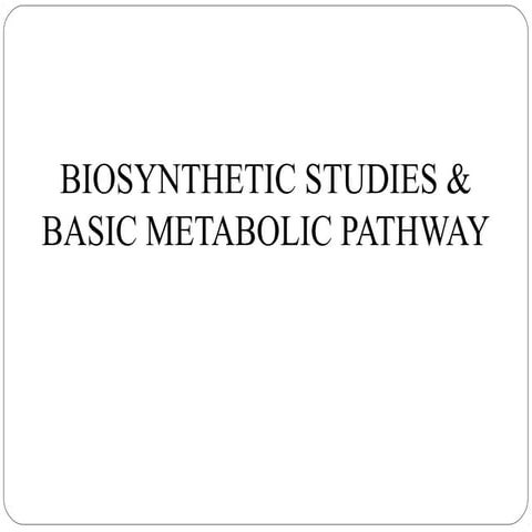 BIOSYNTHETIC STUDIES & BASIC METABOLIC PATHWAY.pptx