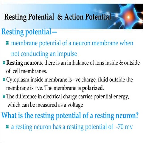 BioT2C3-Action potential-transmission of impulse 2015-student.ppt