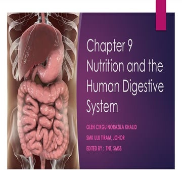 BIO T4 DLP KSSM CHAPTER 9 NUTRITION IN HUMAN AND ANIMLAS .pptx