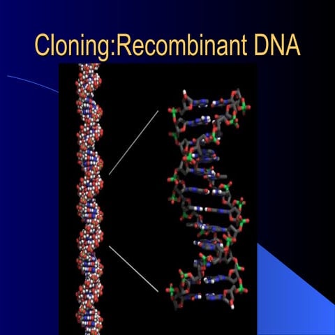 biotechechonology perspective and prospects.ppt