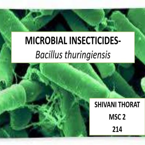 Bt Toxin as microbial insecticide