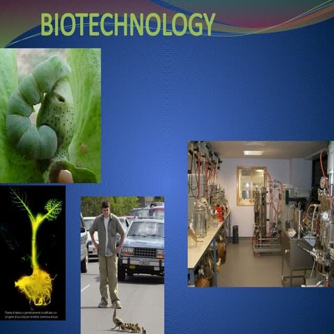 History of Biotechnology | PPT