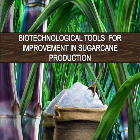 Biotechnology improvement  tools in sugarcane crop improvement 