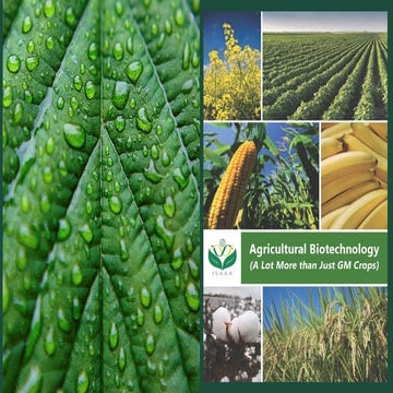 Biotechnology-GMO-Fortification (2).pptx