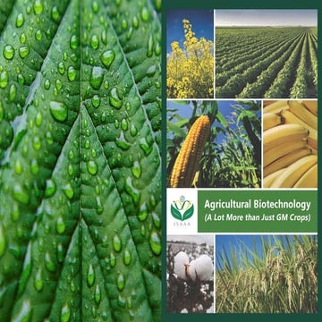 Biotechnology, GMO, Fortification.pptx3.pptx