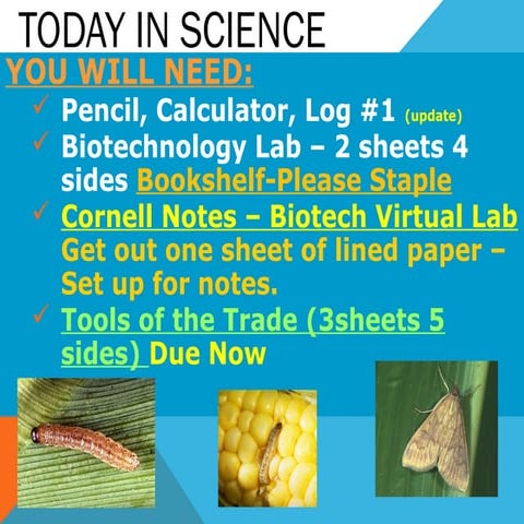 BioChemical Lab day 1 | PPT