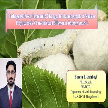 Pathogen-Driven Proteomic Changes in Haemolymph of NPV-Infected Silkworm Bomb...