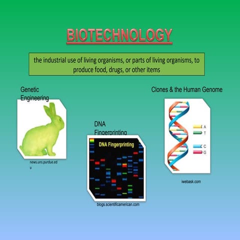 Introduction to Biotechnology
