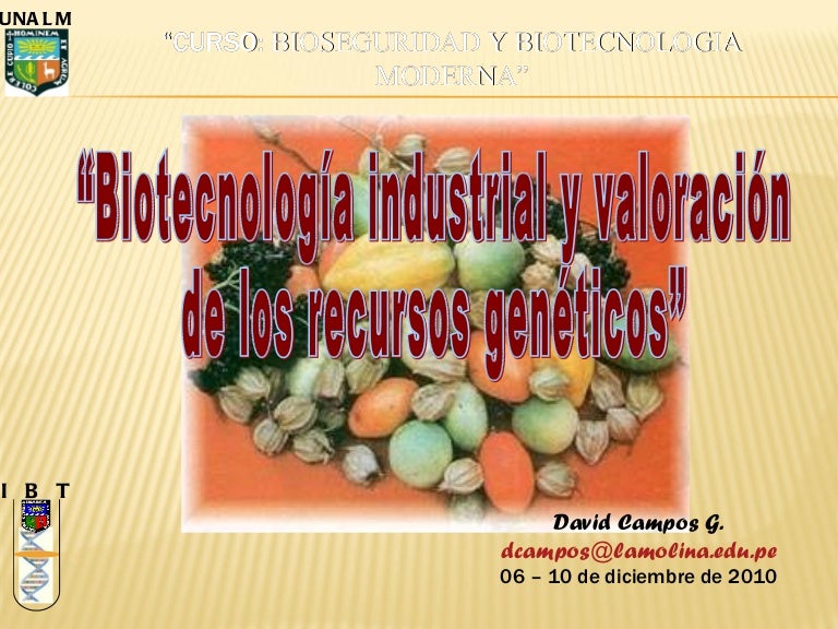 actividades prooxidantes y antioxidantes de la diabetes con ácido rosmarínico