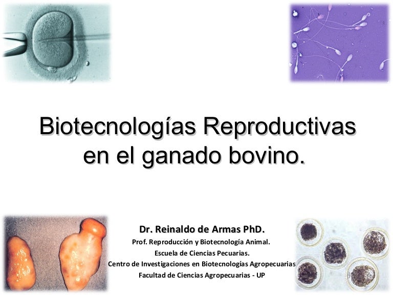biopsia de fusión de próstata en los gemelos 2020