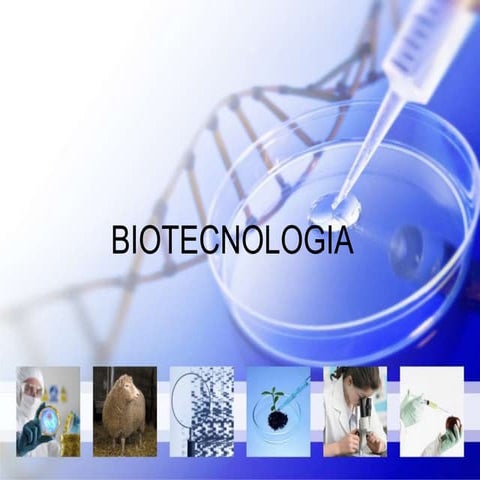 Presentacion de power point, Cerveza 