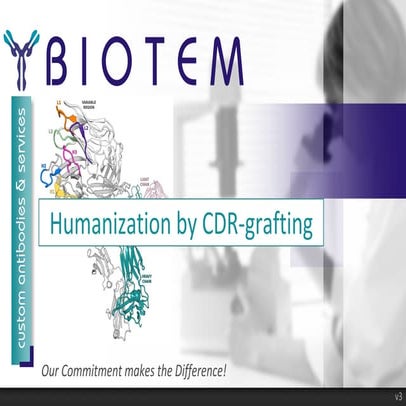 CDR-Grafting Antibody Humanization by BIOTEM | PDF