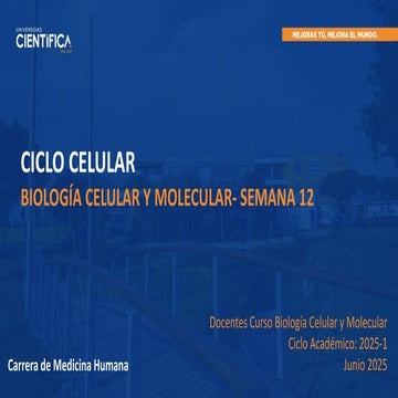 BIOLOGIA SEMANA 12 USCUR CICLO CELULAR.pdf