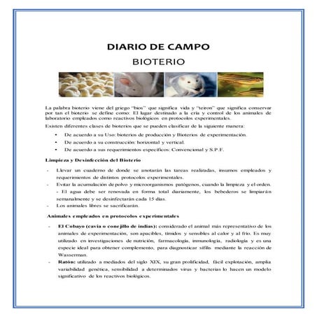 Paris Simone White_ Bio | PDF