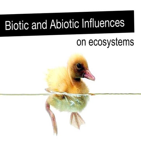 Biotic and Abiotic Factors