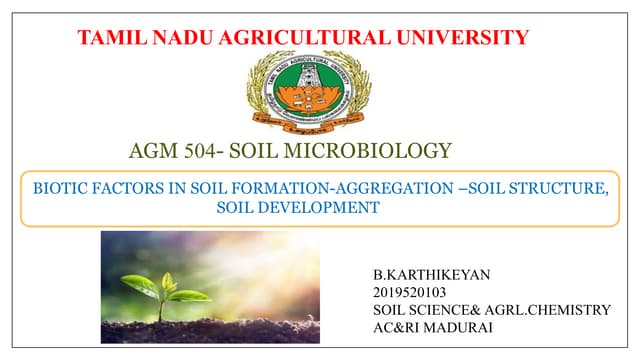 Biotic factors in soil formation,soil aggregation