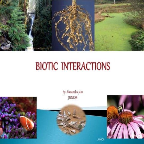 Biotic interactions