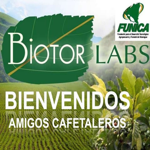 Biotor