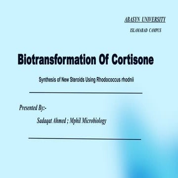 Biotransformation Of Cortisone By Using Rhodococcus rhodnii