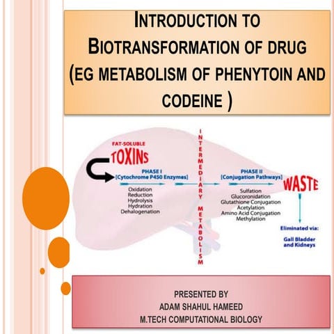 INTRODUCTION TO BIOTRANSFORMATION OF DRUG  (METABOLISM OF PHENYTOIN AND CODEINE)