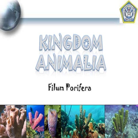 filum porifera materi kelas X