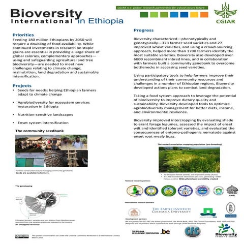 Bioversity International in Ethiopia 