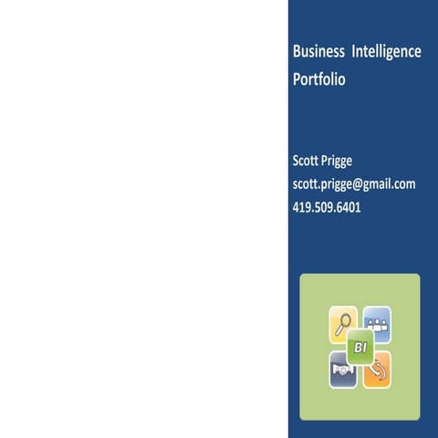 BI Portfolio