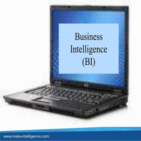 Business Intelligence