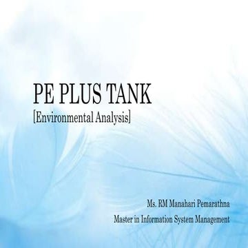 PePlus Environment analysis.pptx