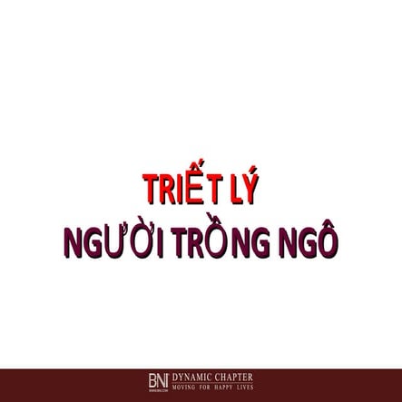 Bí quyết của người trồng ngô (bắp)