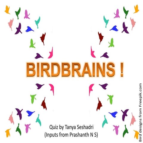 Birdbrains: Bird Quiz
