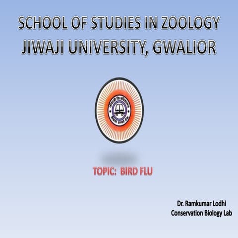 Bird flu | PPT