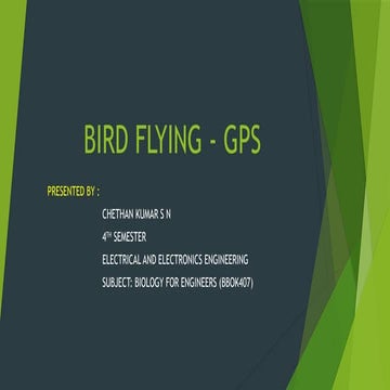 BIRD FLYING GPS vtu biology for engineering.pptx