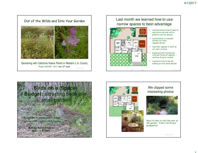 Bird habitat 2017notes