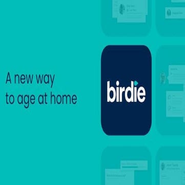 Birdie Pitch Deck | PDF