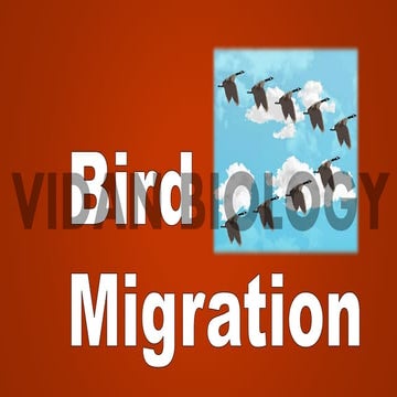 BIRD MIGRATION (ANIMAL BEHAVIOR) 