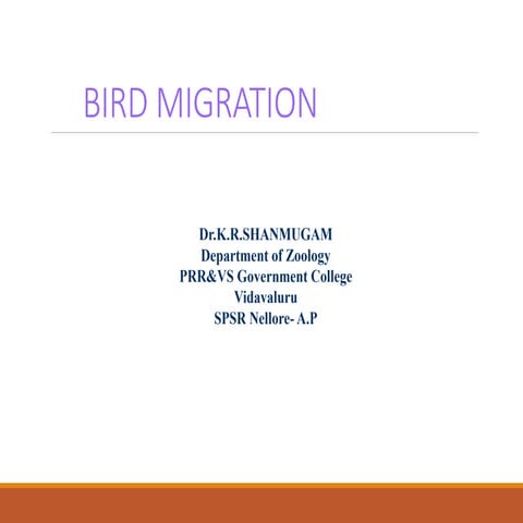 Chordates, Aves Bird migration and flight adaptations