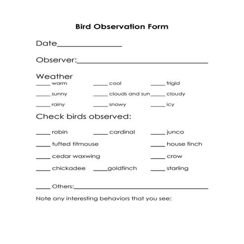 Classroom bird feed observation form