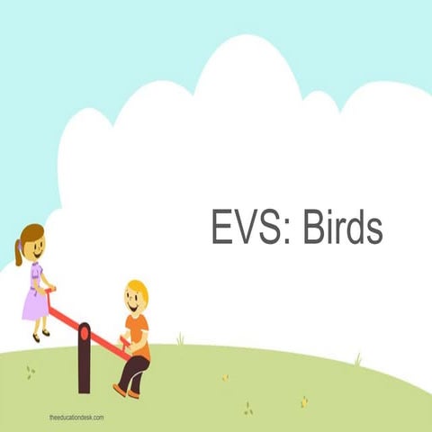 Environmental Science (EVS) : Birds (Class II)